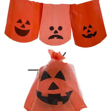 10 PUMPKIN BAGS - Image 1